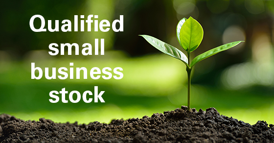 Consider the Tax Advantages of Investing in Qualified Small Business Stock