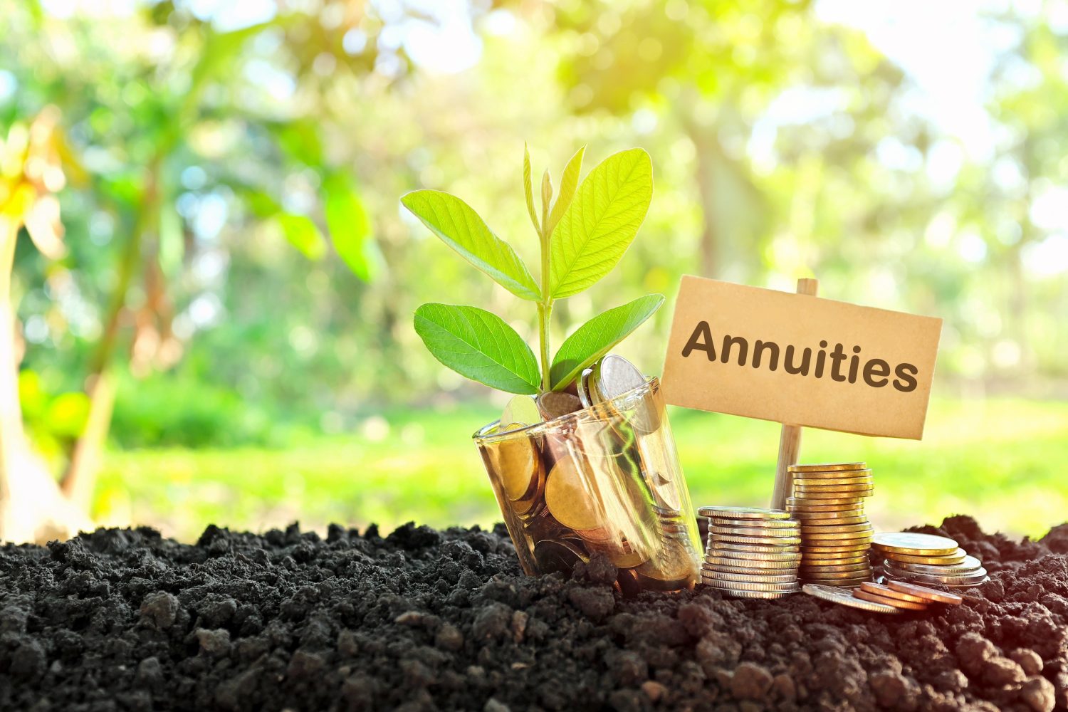 Annuities as a benefit? Some employers are taking a look